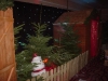 christmas-themed-event-coordinator-cork-8